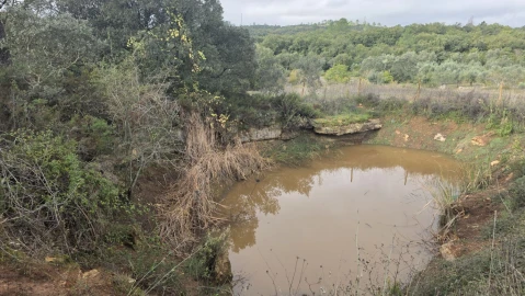 Terreno para Venda em Areias e Pias