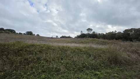 Terreno para Venda em Areias e Pias