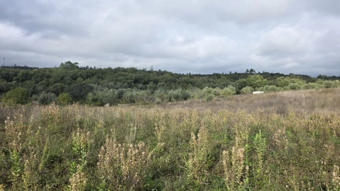 Terreno para Venda em Areias e Pias