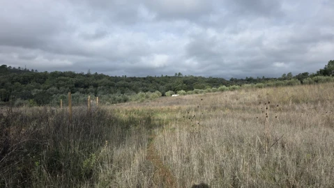 Terreno para Venda em Areias e Pias