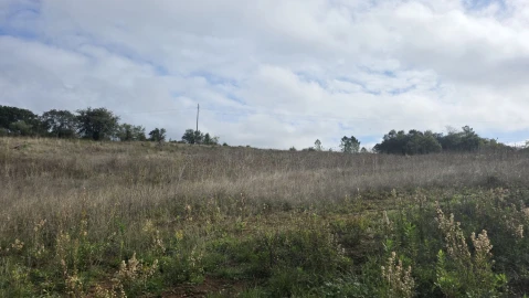 Terreno para Venda em Areias e Pias