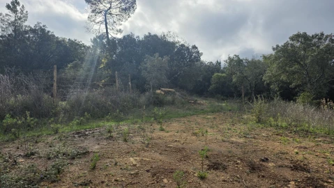 Terreno para Venda em Areias e Pias