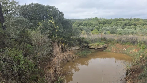 Terreno para Venda em Areias e Pias