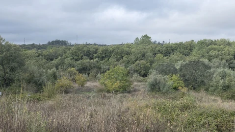 Terreno para Venda em Areias e Pias