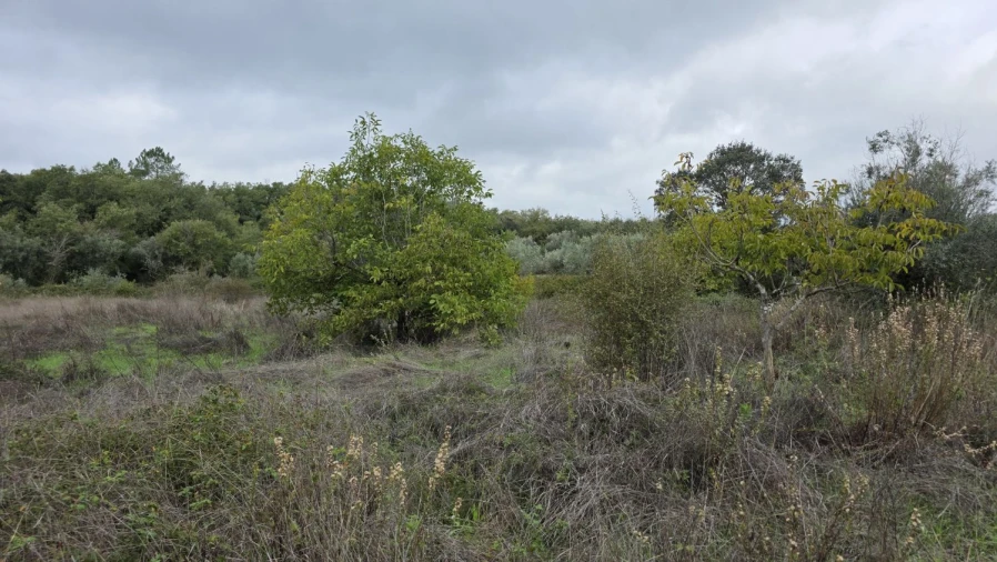 Terreno para Venda em Areias e Pias Foto 15