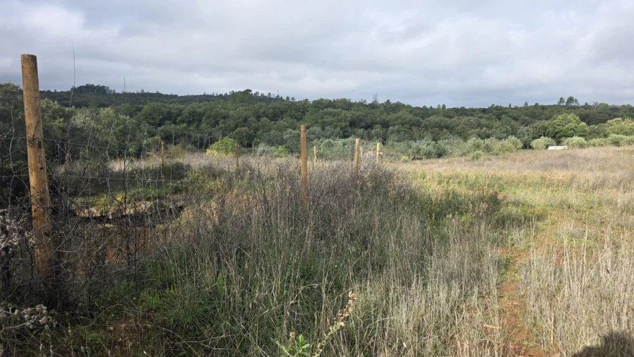 Terreno para Venda em Areias e Pias Foto 7