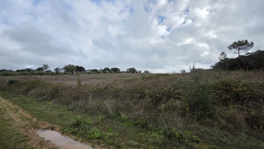 Terreno para Venda em Areias e Pias Foto 22
