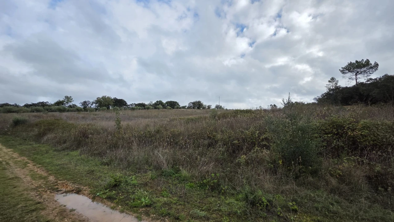 Terreno para Venda em Areias e Pias Foto 22