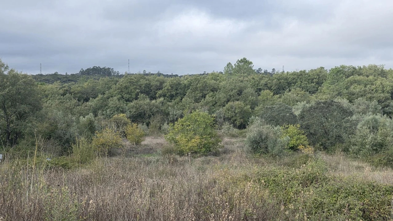 Terreno para Venda em Areias e Pias Foto 13