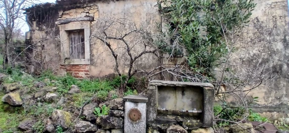 Moradia T2 para Venda em Assentiz