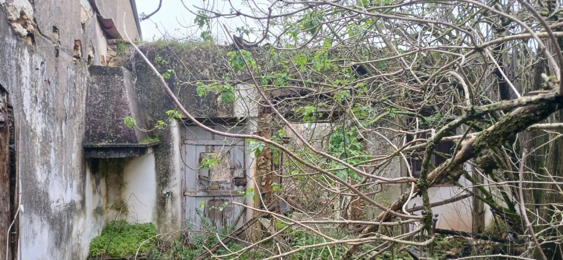 Moradia T2 para Venda em Assentiz Foto 8