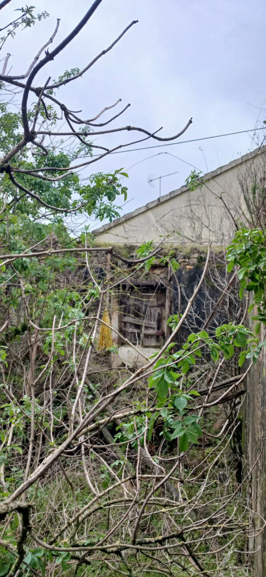 Moradia T2 para Venda em Assentiz Foto 4