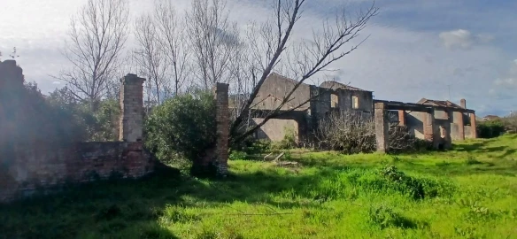 Loja para Venda em Sabacheira