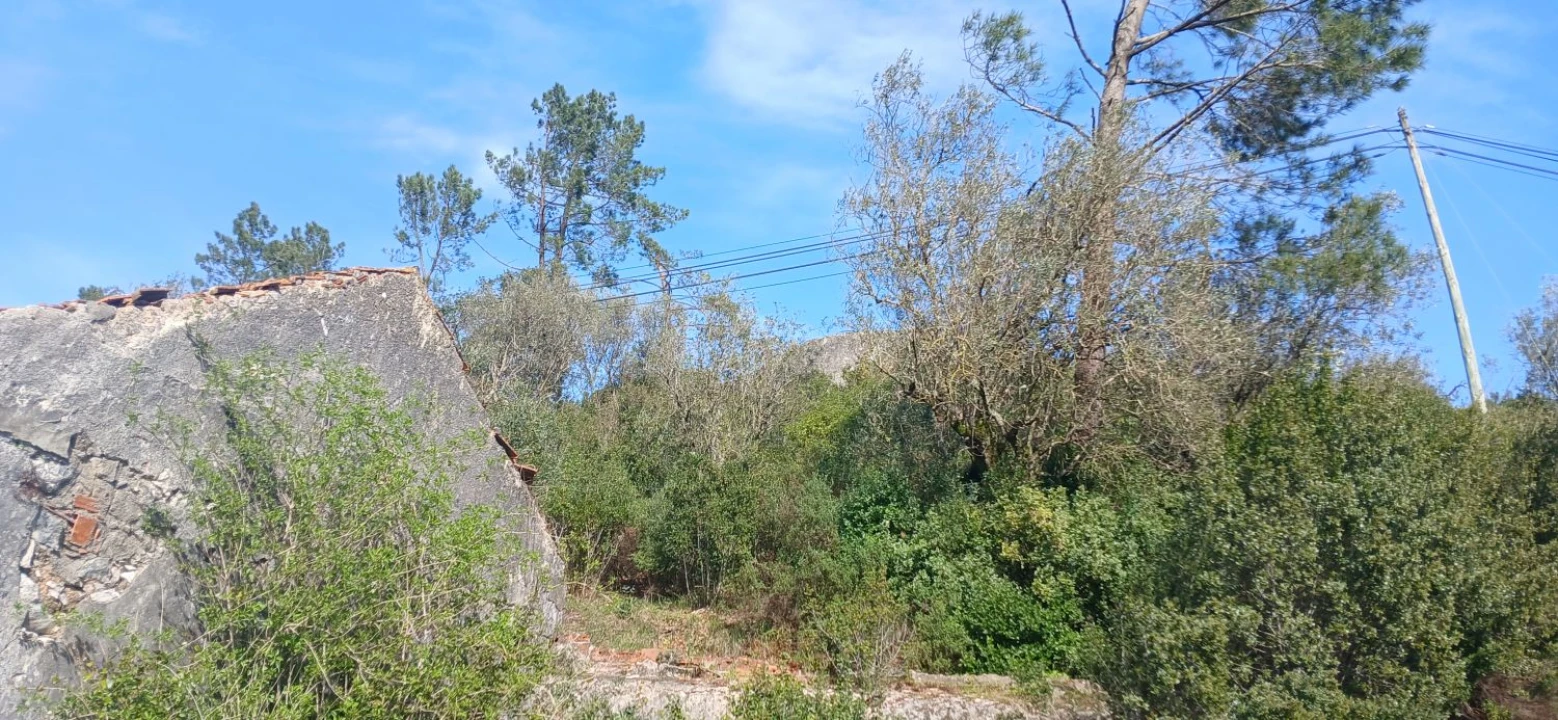 Loja para Venda em Sabacheira Foto 18