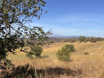 Terreno para Venda em Silves