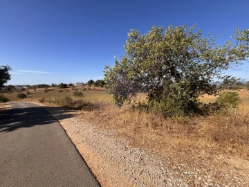Terreno para Venda em Silves