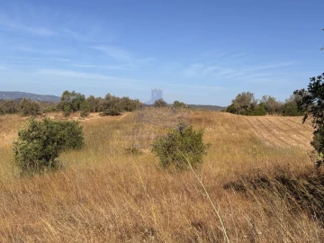 Terreno para Venda em Silves