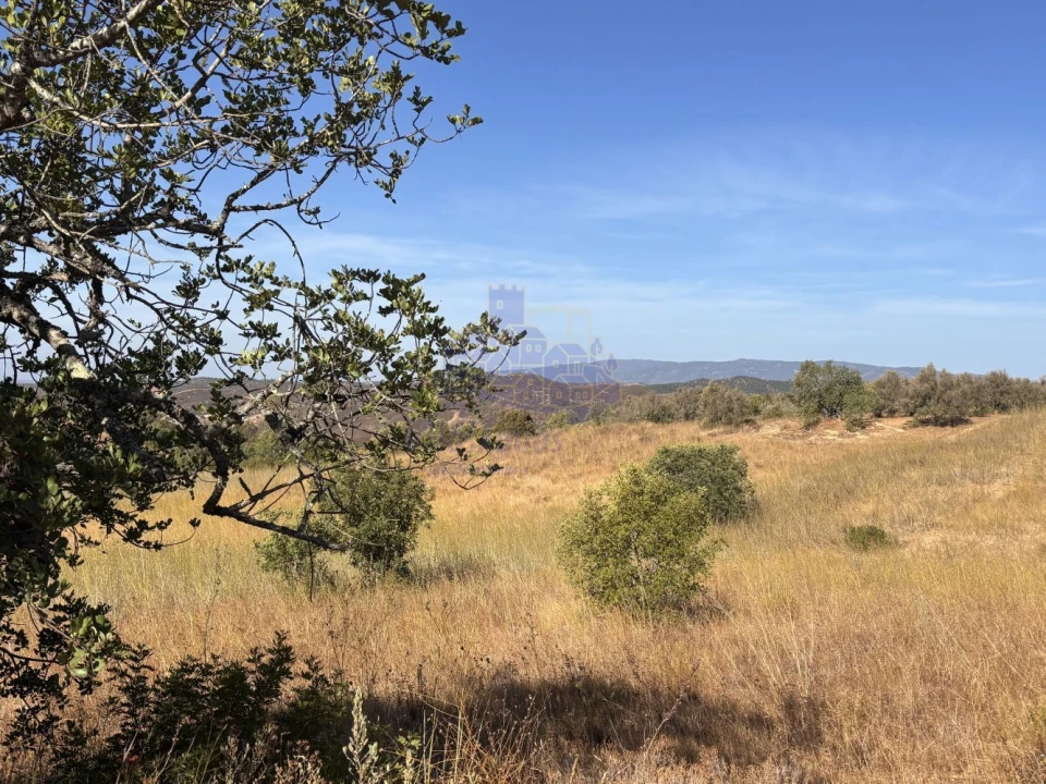 Terreno para Venda em Silves Foto 2