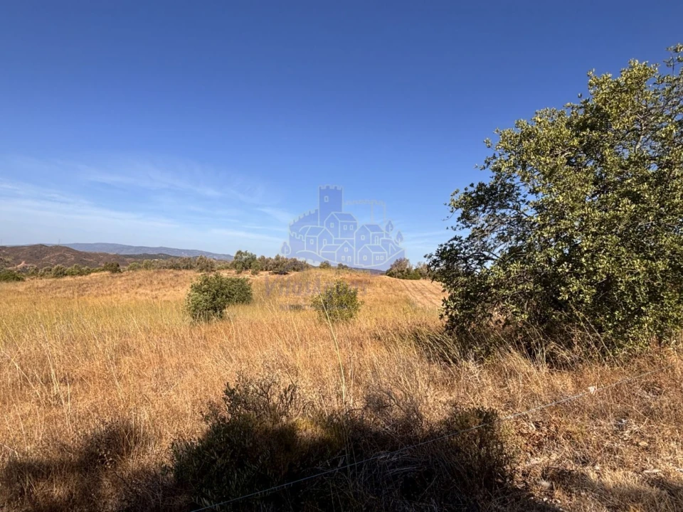 Terreno para Venda em Silves Foto 5