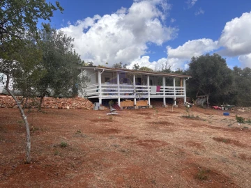 Terreno para Venda em Silves