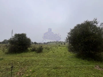 Terreno para Arrendamento em Lagoa e Carvoeiro