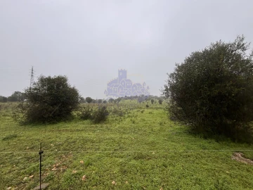 Terreno para Arrendamento em Lagoa e Carvoeiro