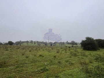 Terreno para Arrendamento em Lagoa e Carvoeiro