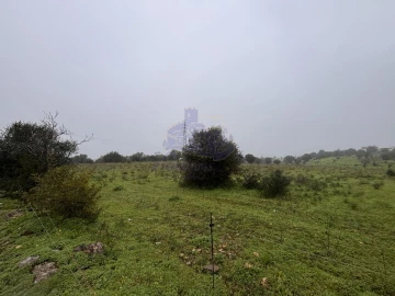 Terreno para Arrendamento em Lagoa e Carvoeiro
