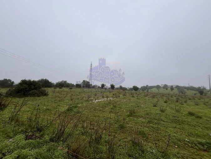 Terreno para Arrendamento em Lagoa e Carvoeiro Foto 3