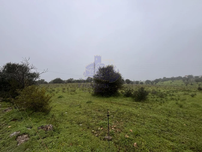 Terreno para Arrendamento em Lagoa e Carvoeiro Foto 5