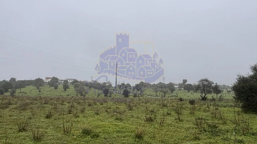 Terreno para Arrendamento em Lagoa e Carvoeiro