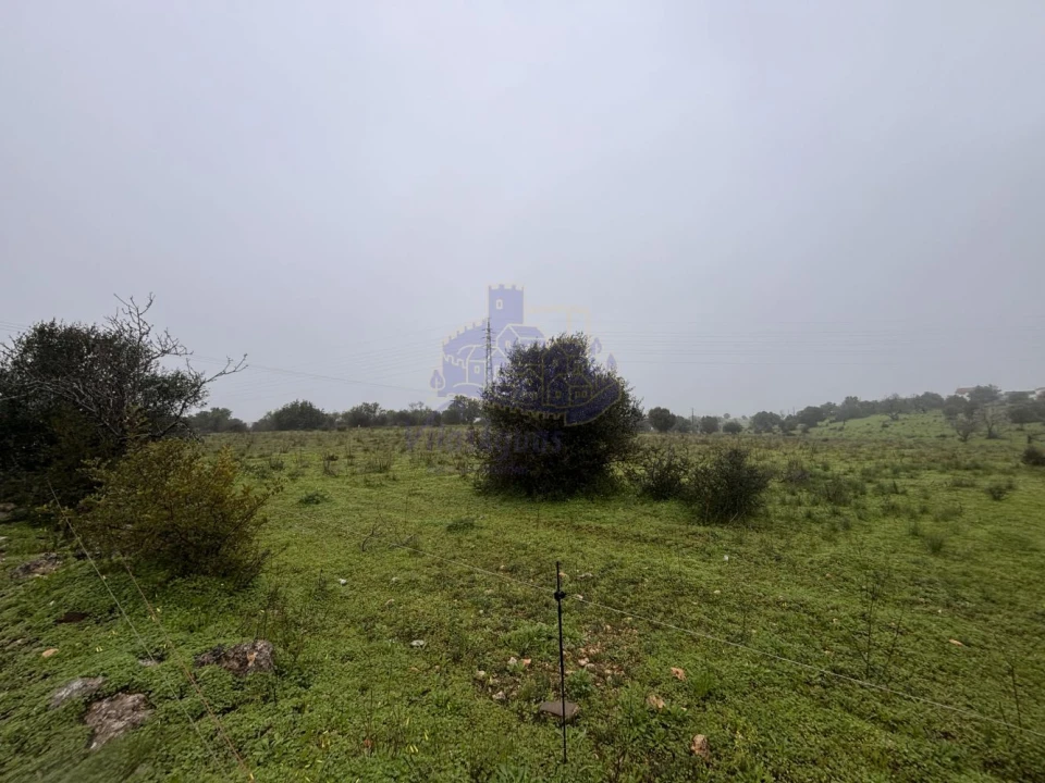 Terreno para Arrendamento em Lagoa e Carvoeiro Foto 5