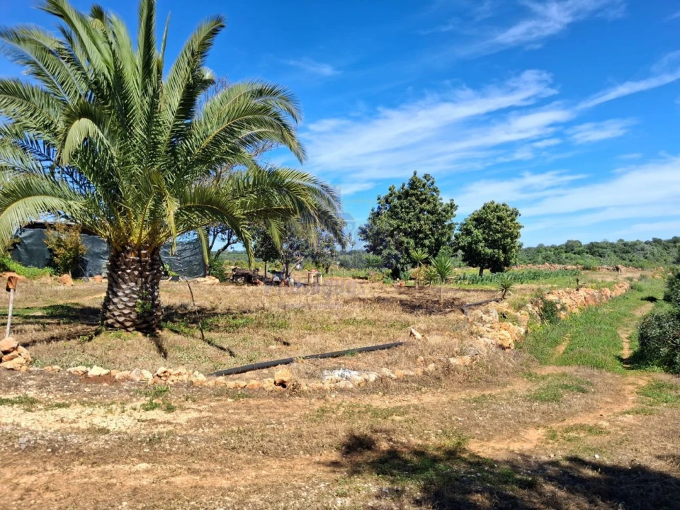 Terreno para Venda em Silves Foto 3