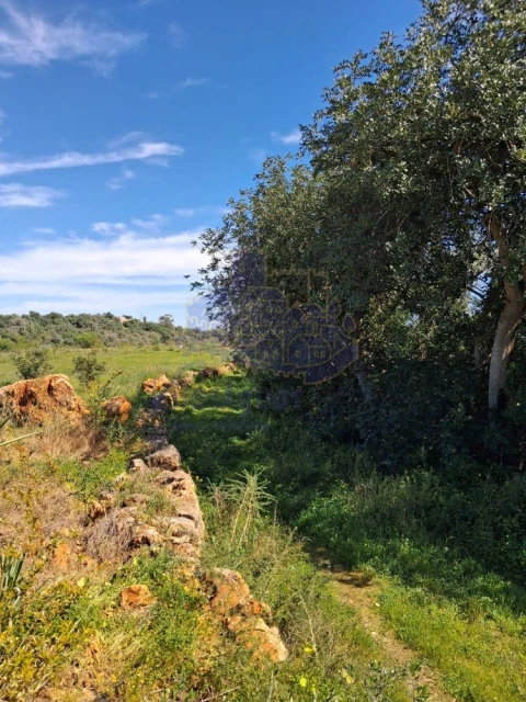 Terreno para Venda em Silves