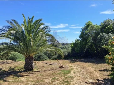 Terreno para Venda em Silves