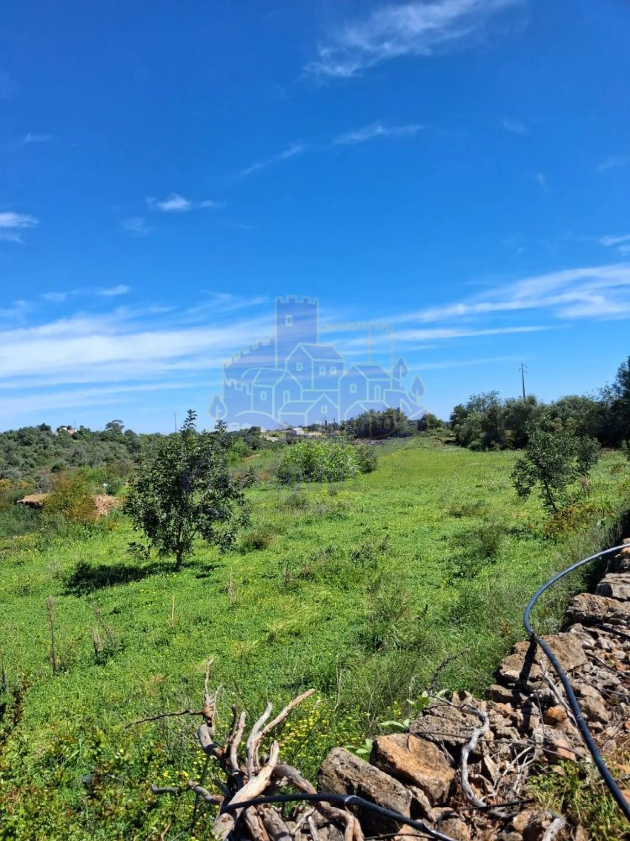 Terreno para Venda em Silves Foto 2