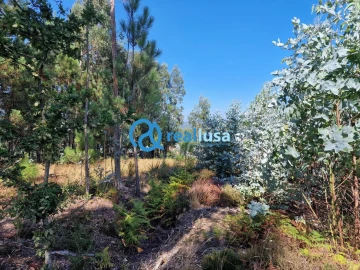 Terreno para Venda em Sandim, Olival, Lever e Crestuma