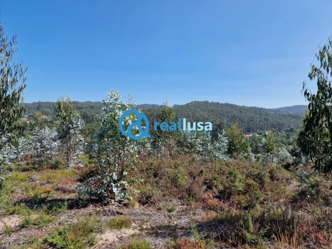 Terreno para Venda em Sandim, Olival, Lever e Crestuma Foto 10