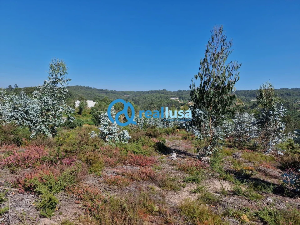 Terreno para Venda em Sandim, Olival, Lever e Crestuma Foto 9