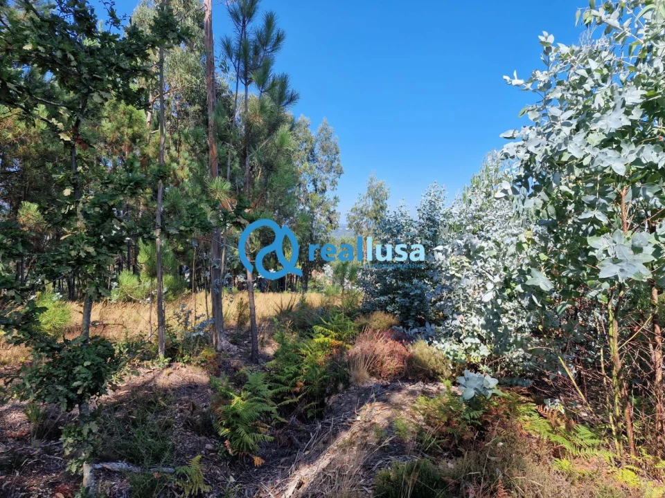 Terreno para Venda em Sandim, Olival, Lever e Crestuma Foto 7