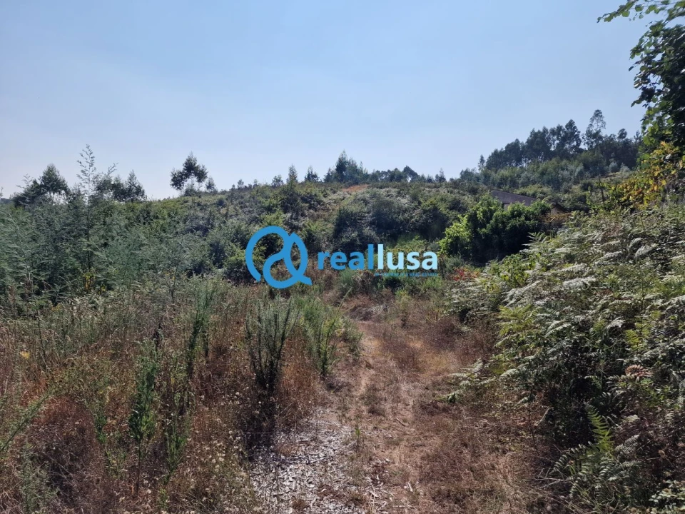 Terreno para Venda em Sandim, Olival, Lever e Crestuma Foto 13