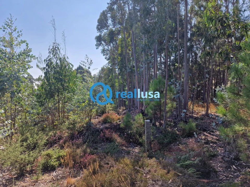 Terreno para Venda em Sandim, Olival, Lever e Crestuma Foto 6