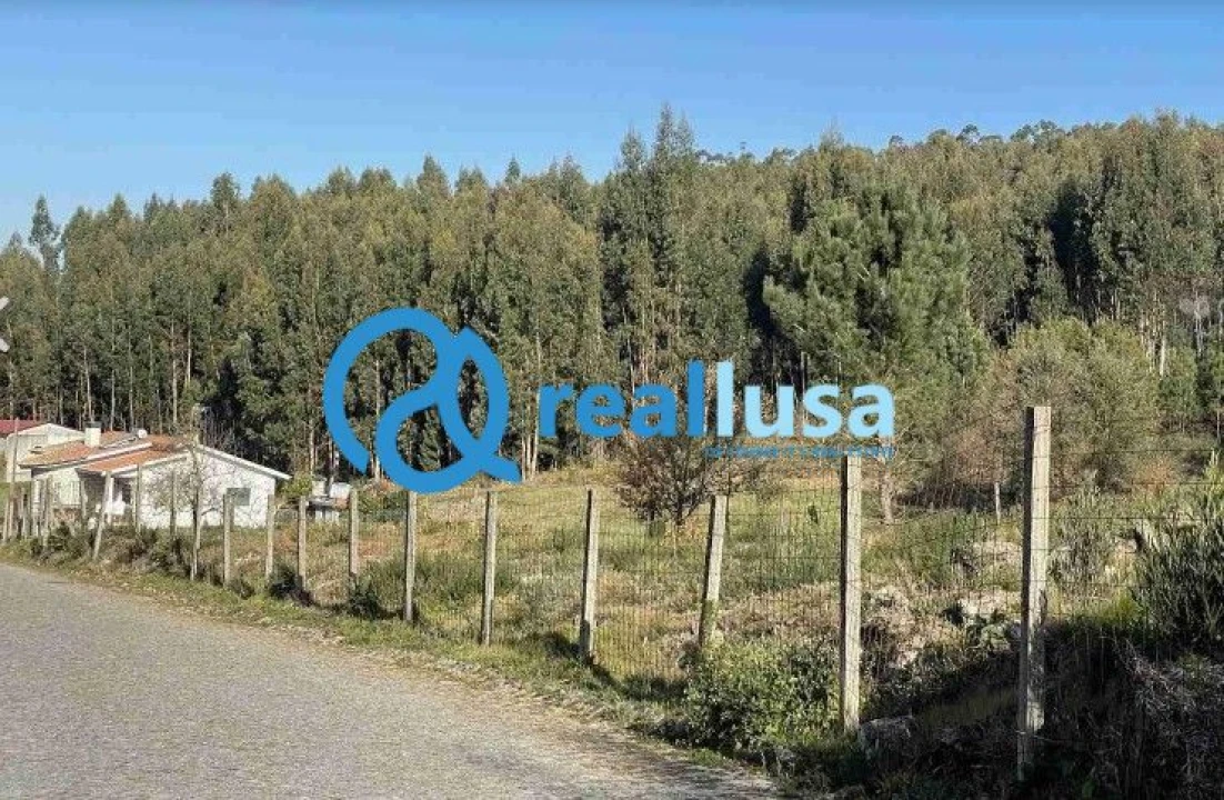 Terreno para Venda em Termas de São Vicente Foto 3