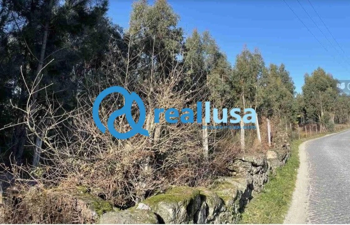 Terreno para Venda em Termas de São Vicente Foto 2