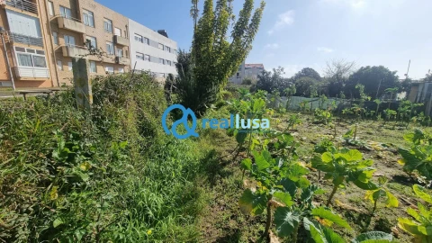 Terreno para Venda em Anta e Guetim