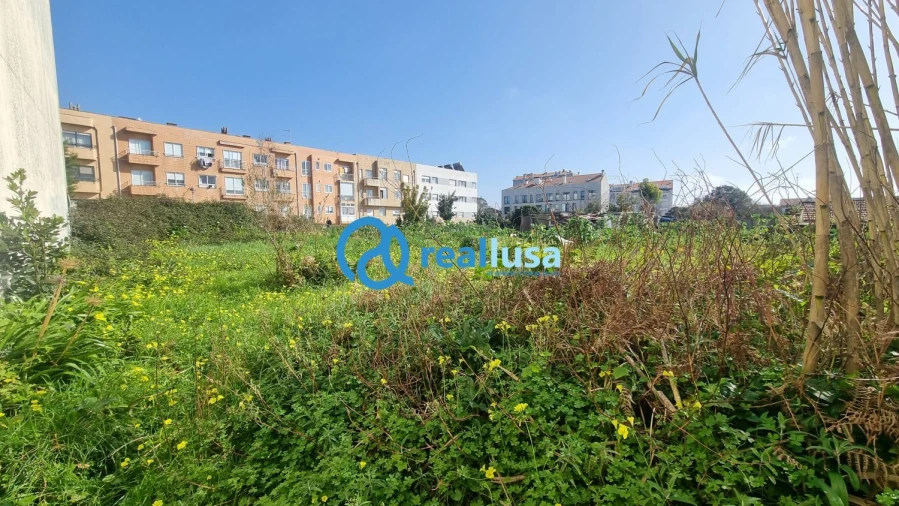 Terreno para Venda em Anta e Guetim Foto 9