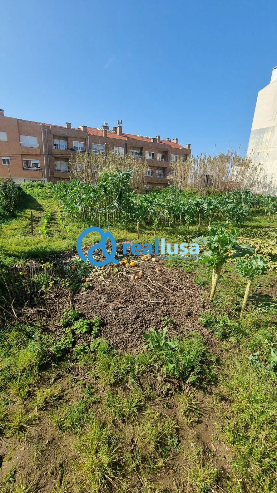 Terreno para Venda em Anta e Guetim Foto 13