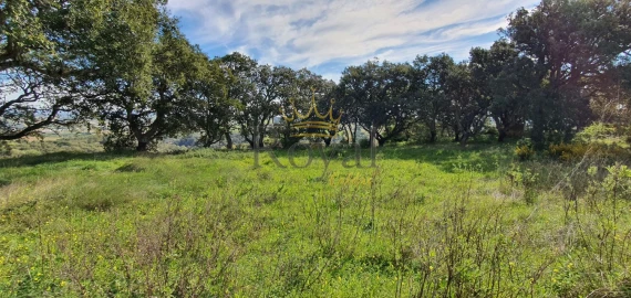 Terreno para Venda em A dos Negros