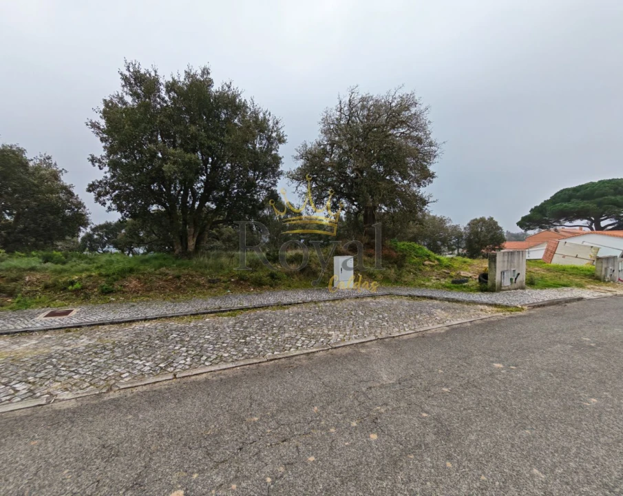 Terreno para Venda em A dos Negros Foto 4