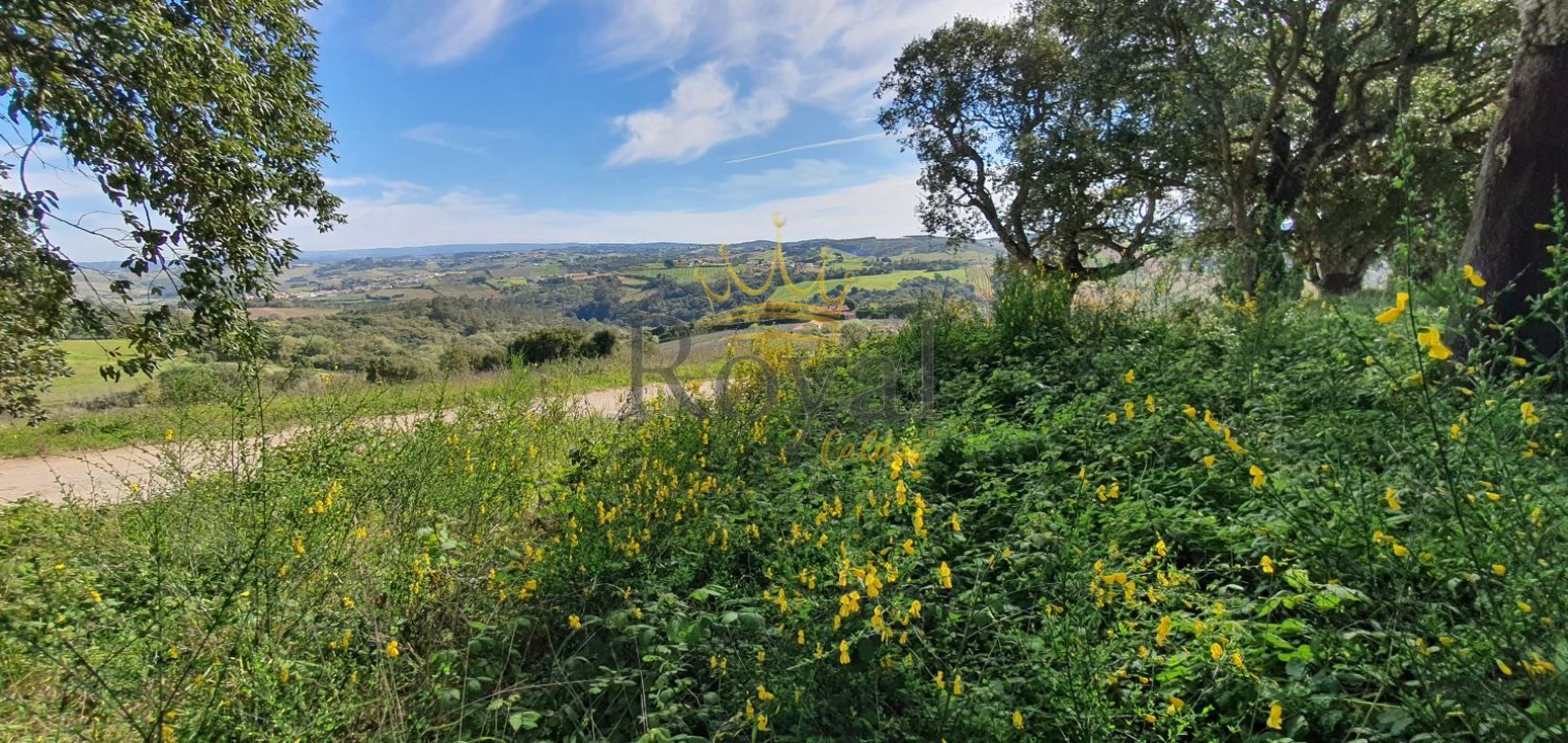Terreno para Venda em A dos Negros Foto 1